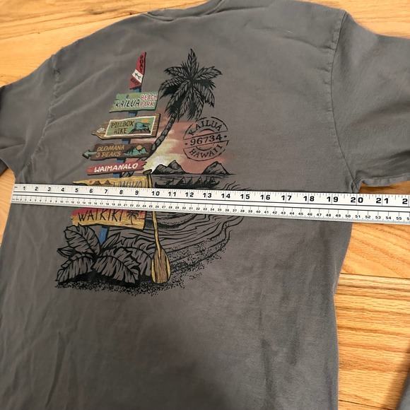 Crazy Shirts Long Sleeve T Shirt Men's Size L Aloha Hawaii Graphic Print Gray - Picture 9 of 11